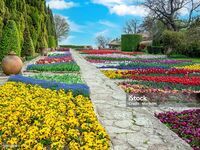 Вилла Зелената лагуна
