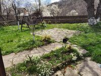 Къща за гости Витановата къща