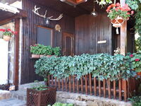 Villa Letuga