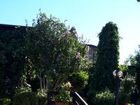 Villa Letuga