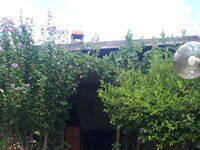 Villa Letuga
