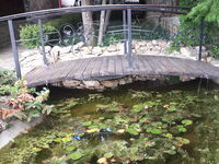 Villa Letuga