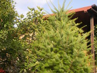 Villa Letuga