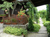 Villa Letuga