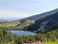 Къща за гости Адвел