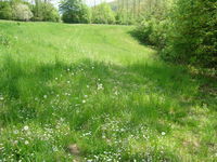 Villa Gorski Kat