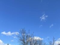 Комплекс Света гора