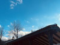 Комплекс Света гора
