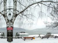 Гостевой дом Сиана