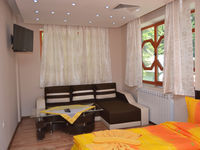 Guest house Rodopi