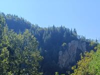Вила При кмета