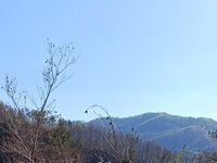 Вила При кмета