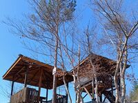 Вила При кмета
