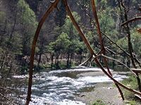Вила При кмета