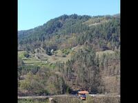 Вила При кмета