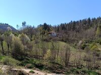 Вила При кмета