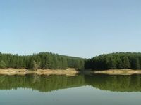 Къща за гости Свежен