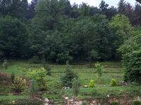Guest house Sezoni