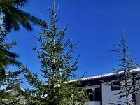 Guest house Sezoni