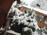 Вила Рупцовото