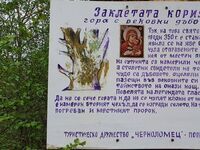 Къща за гости Иванча