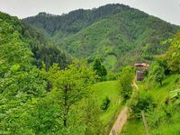 Guest rooms Rodopi Driims