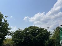 Къща за гости Вила Смокиня
