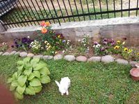 Guest house Todorovi