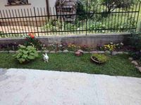 Guest house Todorovi