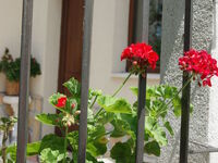 Guest house Viktoriya