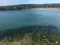 Къща за гости Шарон