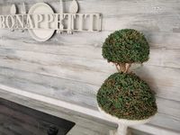 Вила Синеморец