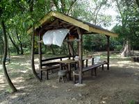 Вила Синеморец