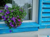 Вила Синеморец