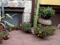 Guest house Denitsa