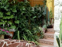 Guest house Denitsa
