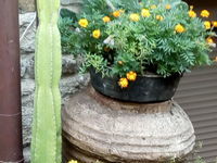 Guest house Denitsa
