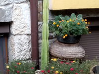 Guest house Denitsa