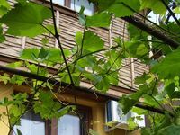 Guest house Denitsa