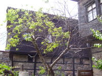Guest house Denitsa