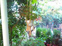 Guest house Denitsa