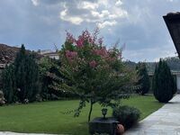 Къща за гости Боримечковата къща