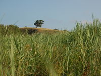 Villa Casa Verde