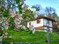 Къща за гости Карашка