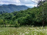 Къща за гости Карашка
