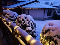 Guest house Forest Driim
