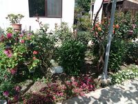 Гостевой дом Поповата къща