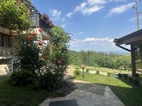 Вила под наем Бойков рид