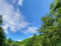 Стаи за гости Етно къща Люта