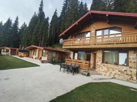 Вила под наем Бор